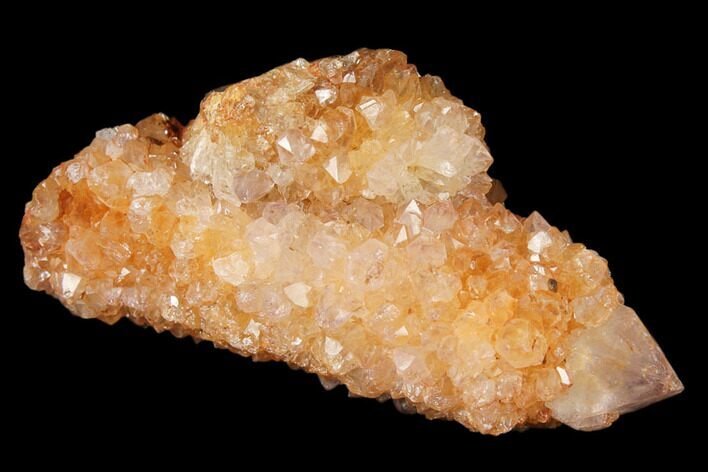 Sunshine Cactus Quartz Crystal - South Africa #122319